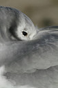 BUITEN BEELD Foto: 154958