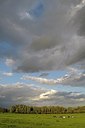 BUITEN BEELD Foto: 155005