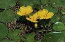BUITEN BEELD Foto: 155027