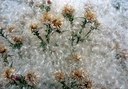 BUITEN BEELD Foto: 155040
