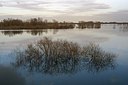 BUITEN BEELD Foto: 155069