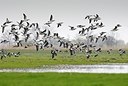 BUITEN BEELD Foto: 155086