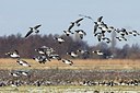 BUITEN BEELD Foto: 155089