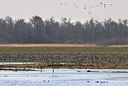 BUITEN BEELD Foto: 155117