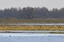 BUITEN BEELD Foto: 155126