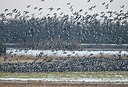 BUITEN BEELD Foto: 155159