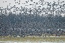 BUITEN BEELD Foto: 155162