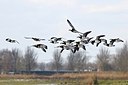 BUITEN BEELD Foto: 155195