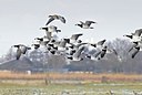 BUITEN BEELD Foto: 155197