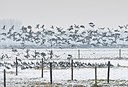 BUITEN BEELD Foto: 155215