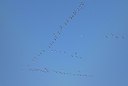 BUITEN BEELD Foto: 155220
