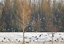 BUITEN BEELD Foto: 155228