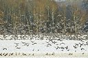 BUITEN BEELD Foto: 155253