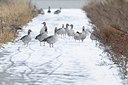 BUITEN BEELD Foto: 155255