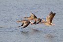 BUITEN BEELD Foto: 155257