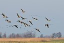BUITEN BEELD Foto: 155258