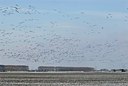 BUITEN BEELD Foto: 155288