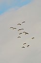 BUITEN BEELD Foto: 155313