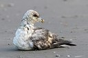 BUITEN BEELD Foto: 155328