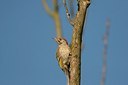 BUITEN BEELD Foto: 155342