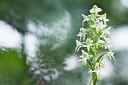 BUITEN BEELD Foto: 155359