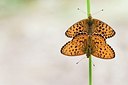 BUITEN BEELD Foto: 155402