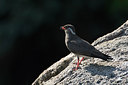 BUITEN BEELD Foto: 155470