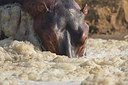 BUITEN BEELD Foto: 155509
