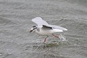 BUITEN BEELD Foto: 155548