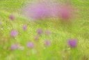BUITEN BEELD Foto: 155706