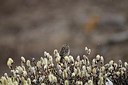 BUITEN BEELD Foto: 155712