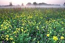 BUITEN BEELD Foto: 155906