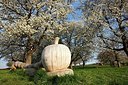 BUITEN BEELD Foto: 155929