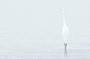 BUITEN BEELD Foto: 156112