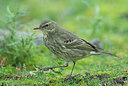BUITEN BEELD Foto: 156131
