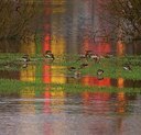 BUITEN BEELD Foto: 156135