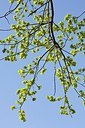 BUITEN BEELD Foto: 156140