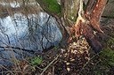 BUITEN BEELD Foto: 156382