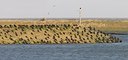 BUITEN BEELD Foto: 156386