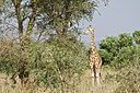 BUITEN BEELD Foto: 156501