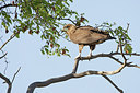 BUITEN BEELD Foto: 156504