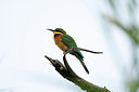 BUITEN BEELD Foto: 156528