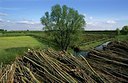 BUITEN BEELD Foto: 156598