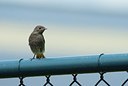 BUITEN BEELD Foto: 156778