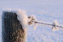 BUITEN BEELD Foto: 156865