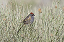 BUITEN BEELD Foto: 156898