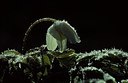 BUITEN BEELD Foto: 157133