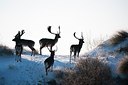 BUITEN BEELD Foto: 157194