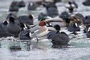 BUITEN BEELD Foto: 157227