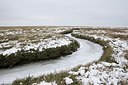 BUITEN BEELD Foto: 157242